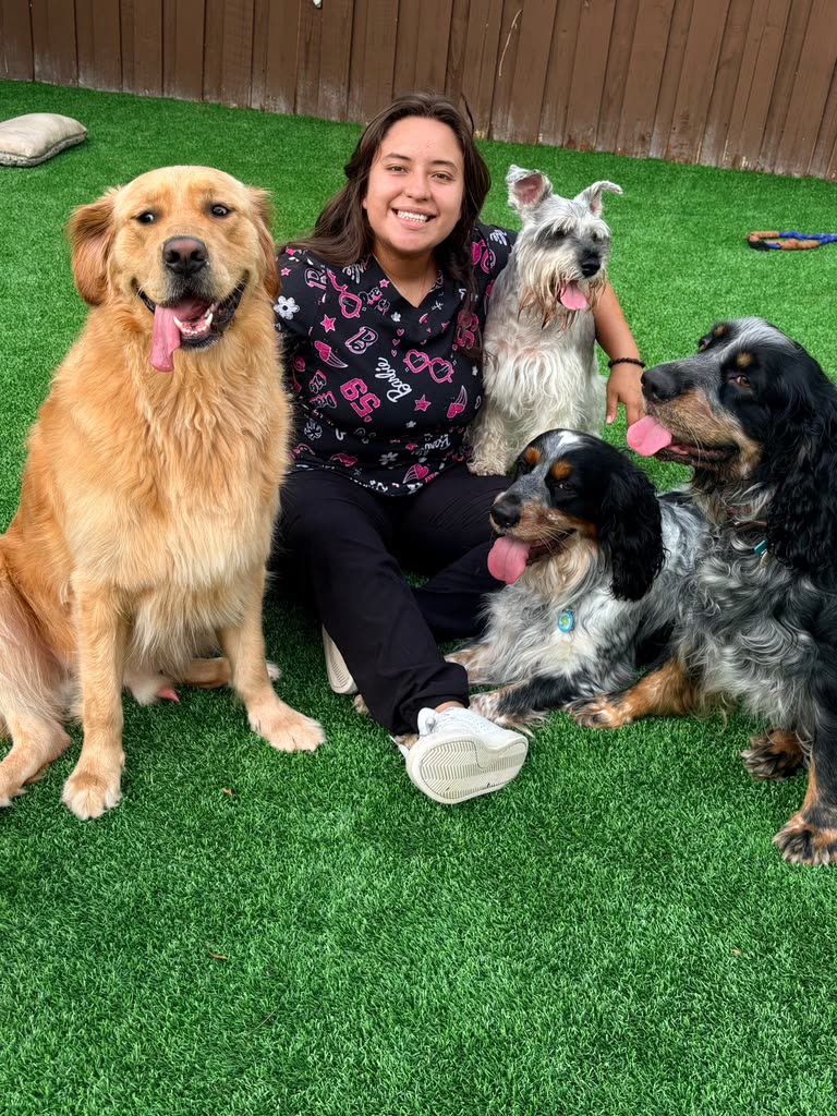 Dogs at Doggie Sleepover