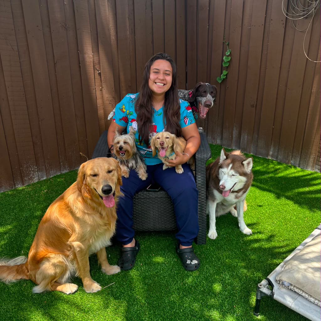 Our team with the dogs