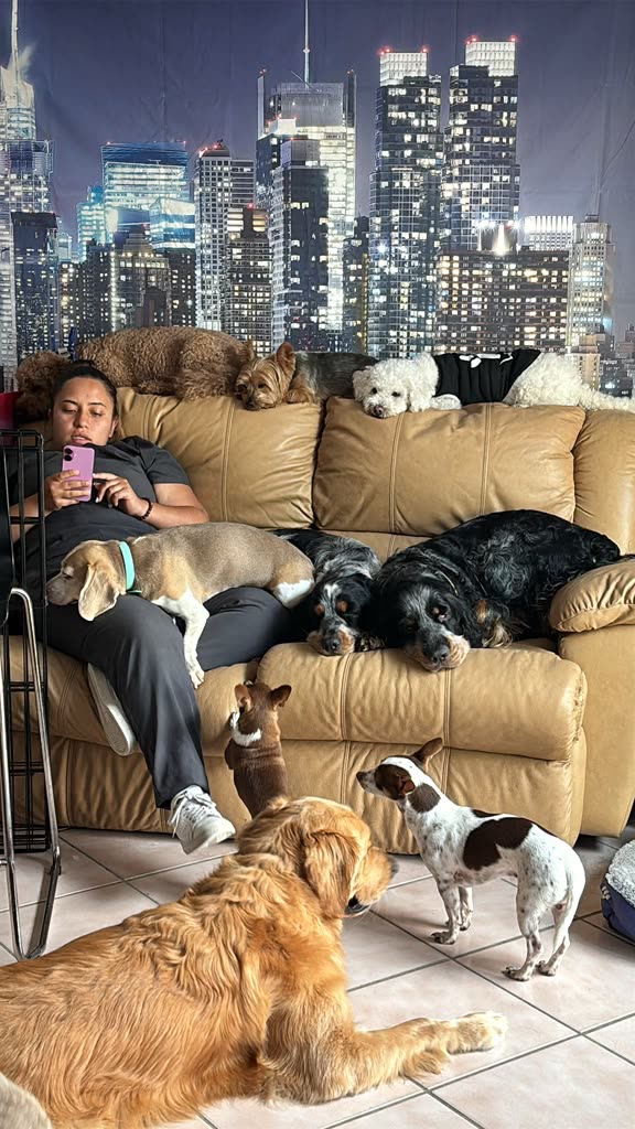 Nap on the sofa